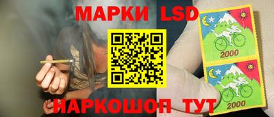 гидра Заволжье