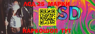 гидра Заволжье