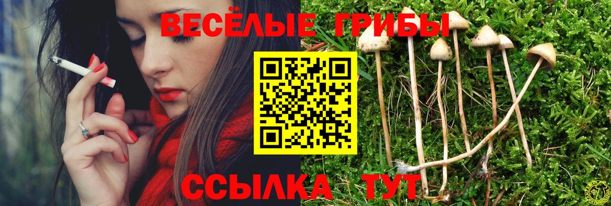Псилоцибиновые грибы ЛСД Биробиджан