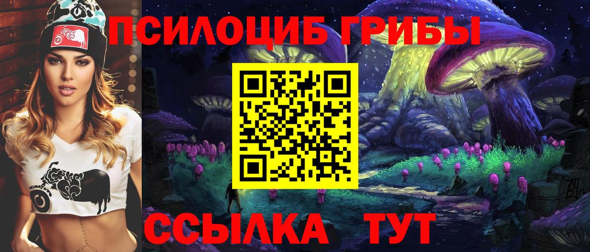 купить наркотик  Псилоцибиновые грибы мухоморы  Вход с VPN  Биробиджан  Галлюциногенные грибы ЛСД 